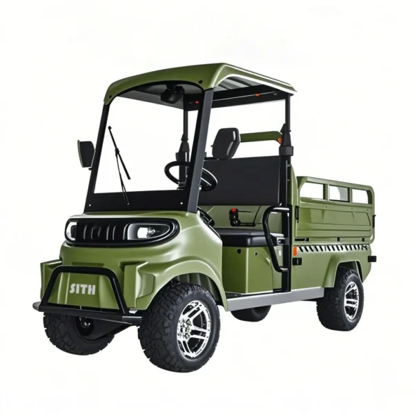 Electric four-wheel vehicle  C1 - 图片 2