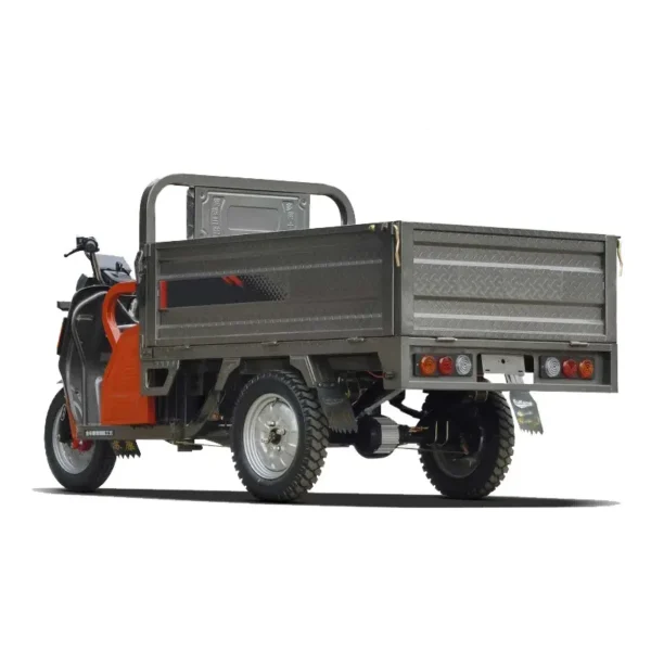 Electric cargo trike S2 - 图片 2