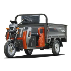 Electric cargo trike S2