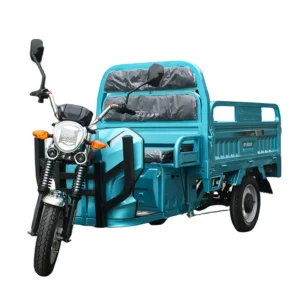 Electric cargo trike S1