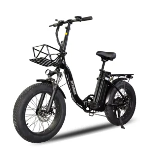 Folding E-bike V1