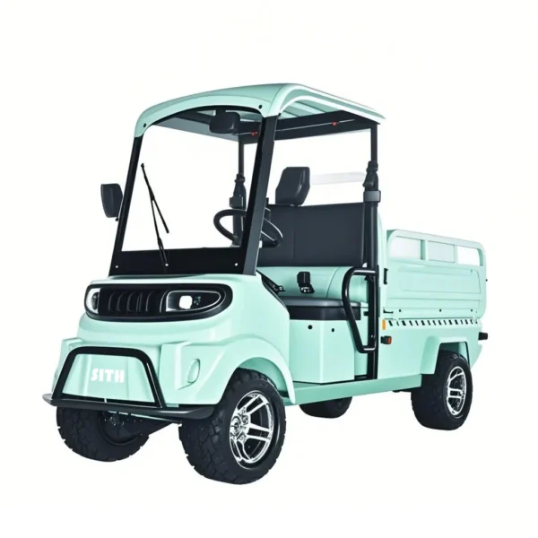 Electric four-wheel vehicle  C1 - 图片 4