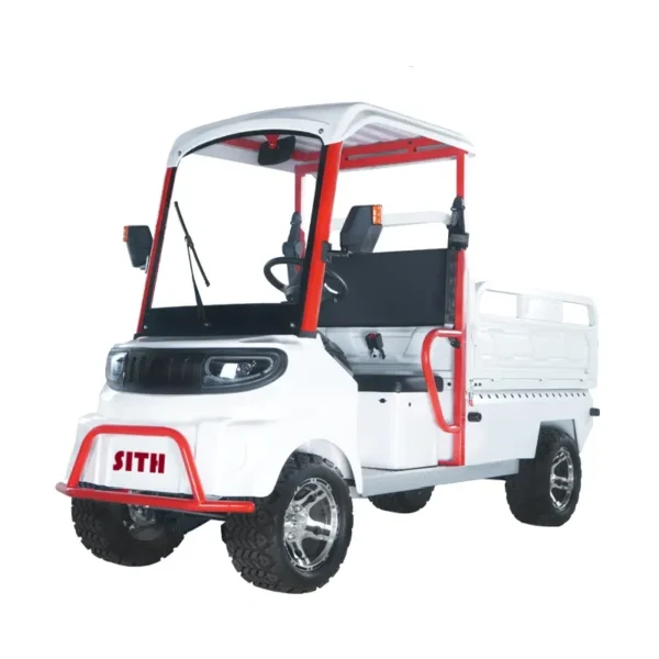 Electric four-wheel vehicle  C1 - 图片 6