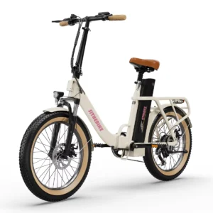 Folding E-bike M20