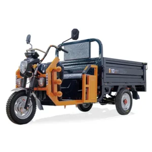Electric cargo trike S4