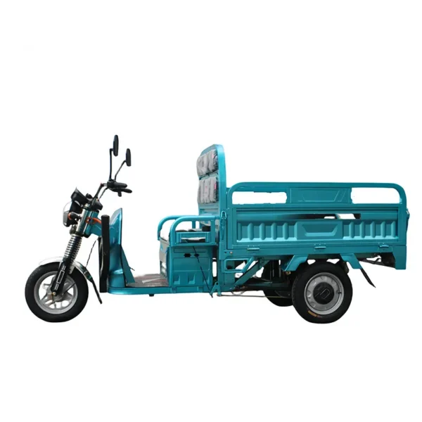 Electric cargo trike S1 - 图片 2
