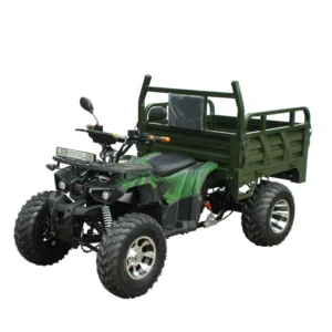 Electric Cargo Truck C3