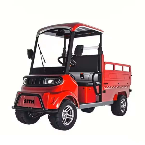 Electric four-wheel vehicle  C1 - 图片 3