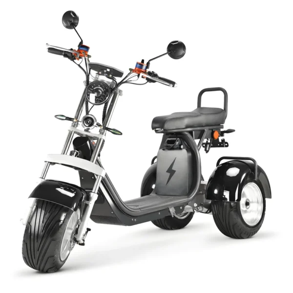 Electric Tricycle N5