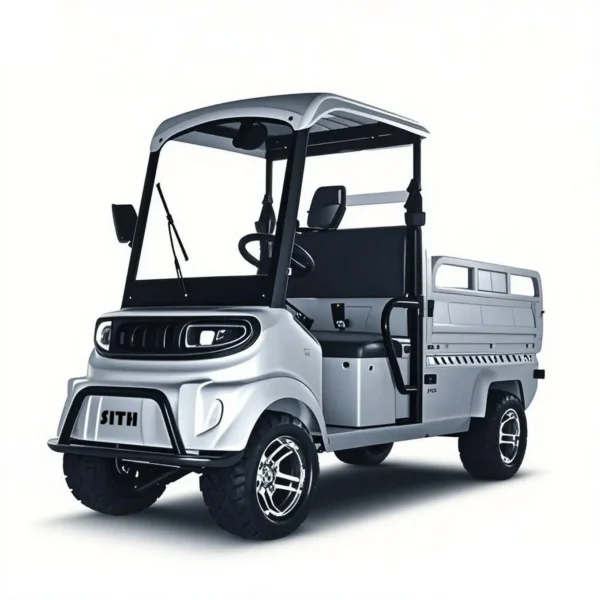 Electric four-wheel vehicle  C1