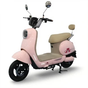 Electric motorcycle G1