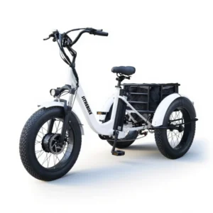 Electric Tricycle N3