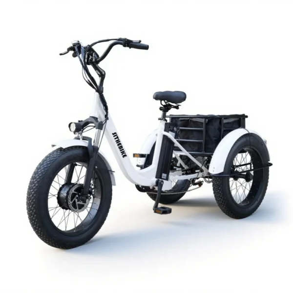 Electric Tricycle N3