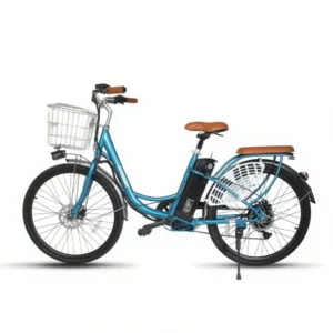 E-bike L3