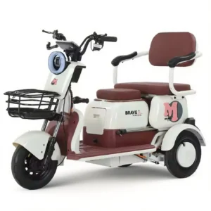 Electric Tricycle X1