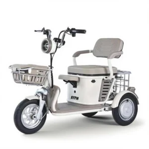 Electric Tricycle D1