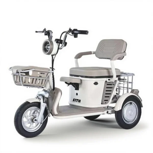 Electric Tricycle D1