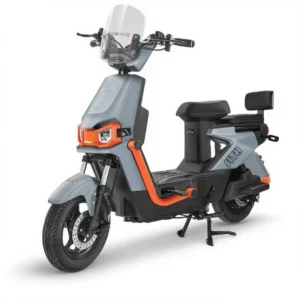 Electric motorcycle T10