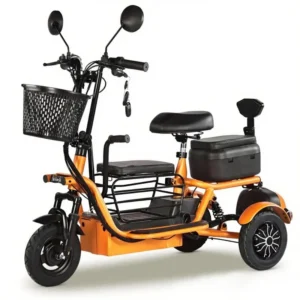 Electric Tricycle M2