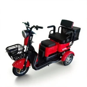 Electric Tricycle Y1