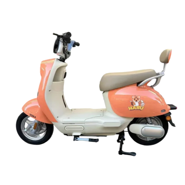Electric motorcycle G1 - 图片 7