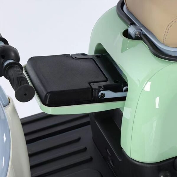 Electric Tricycle X1 - 图片 8