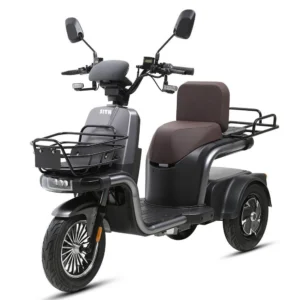 Electric Tricycle N2