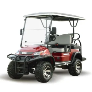 Electric Golf Cart L1