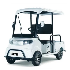 Electric sightseeing vehicle M5