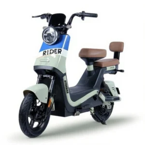 Electric Two-wheel Scooter No.9D