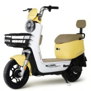 Electric Two-wheel Scooter X1
