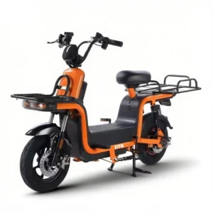 Electric Two-wheel Scooter X5