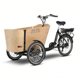 Electric Tricycle N3p